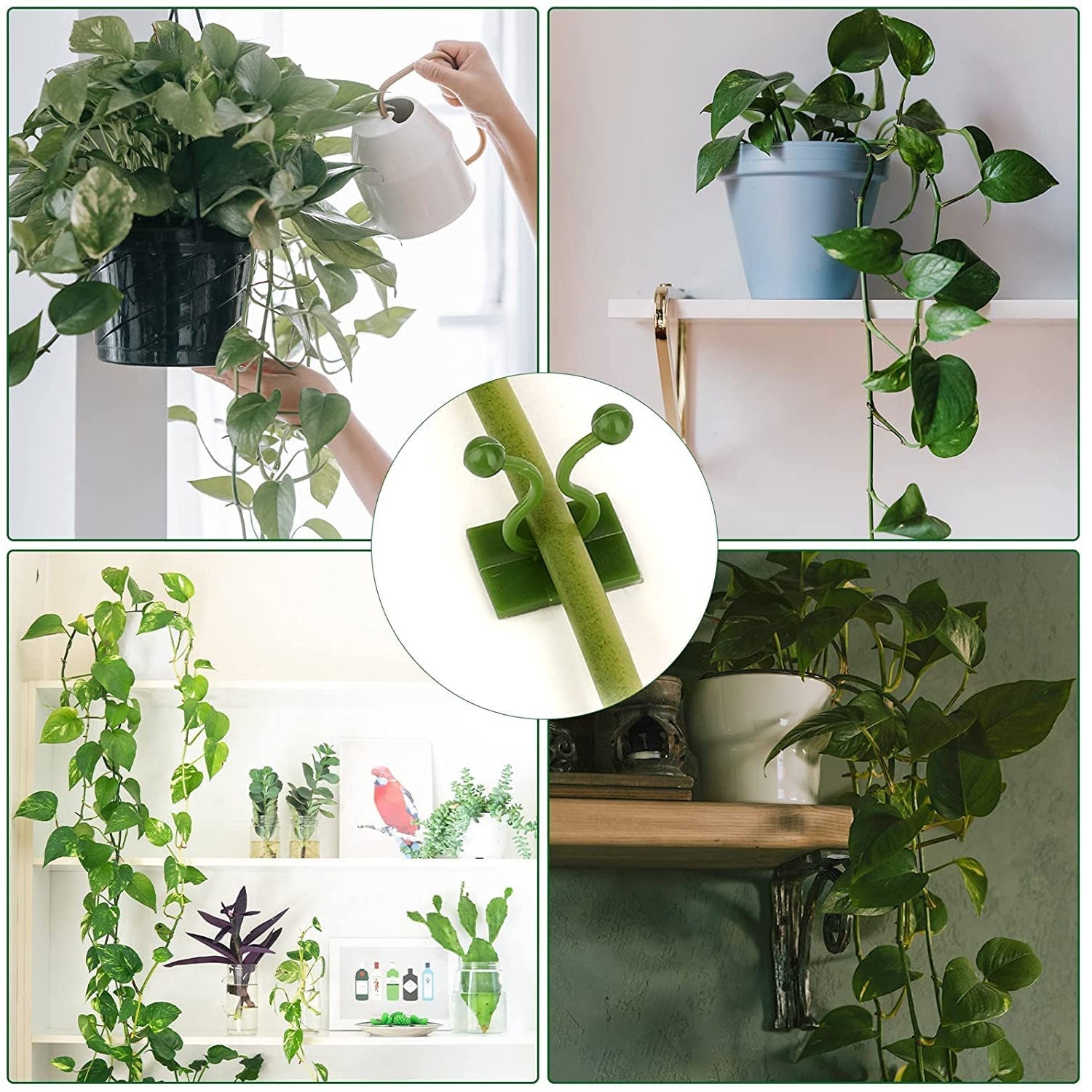 Wall plant clips, 30-pack for securing plants and other uses.