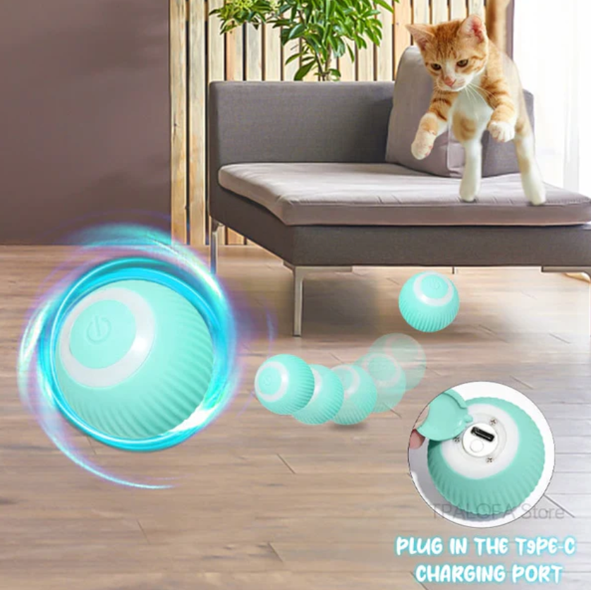 Self-rolling pet ball entertaining a cat and a dog.