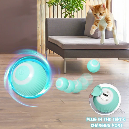 Self-rolling pet ball entertaining a cat and a dog.